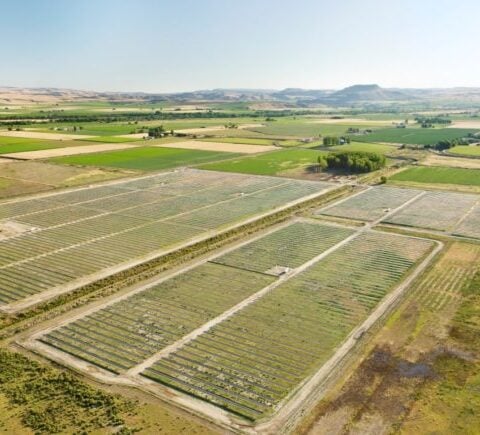 Open Range Solar Center